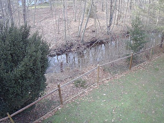 Aerial View of Brook