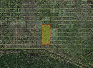 Holopaw Groves Rd, Saint Cloud, FL 34772