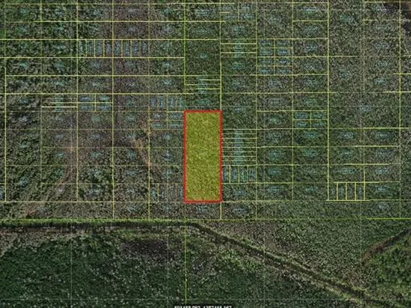 Holopaw Groves Rd, Saint Cloud, FL 34772