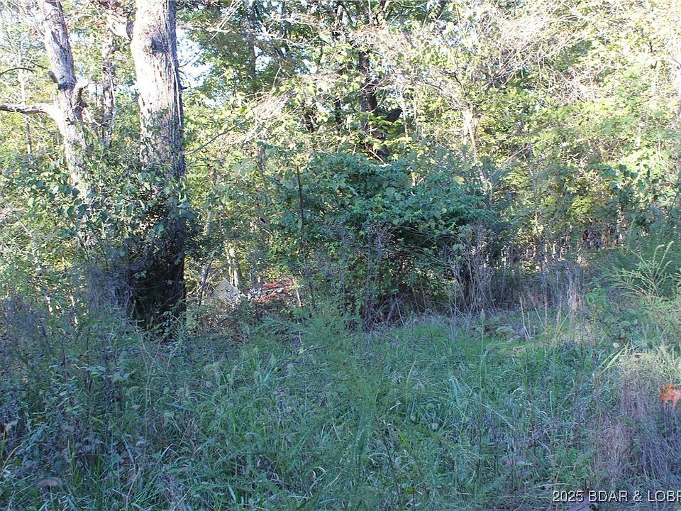 2nd image of Dogwood Dr