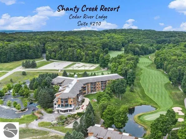 2400 Troon S #4210, Bellaire, MI 49615