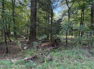 59 Shine Hill Rd, Henryville, PA 18332