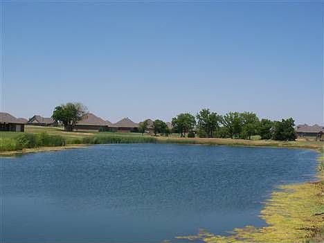 2nd image of 14251 Leaning Willow