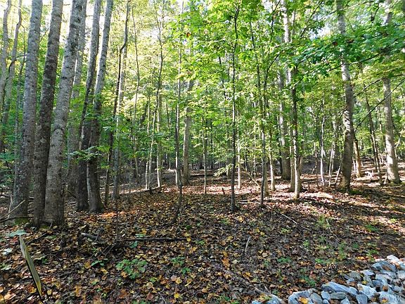 3rd image of 1 Kentucky Mountain Pl Lot 1