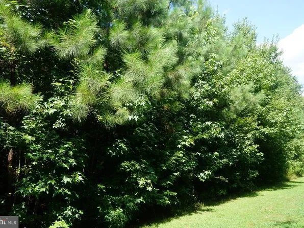 Jericho Rd, Ruther Glen, VA 22546