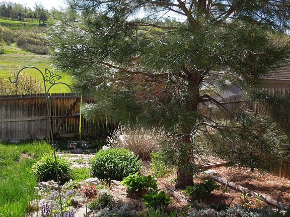 Back yard with gate to open space. Elementary school within walking distance.