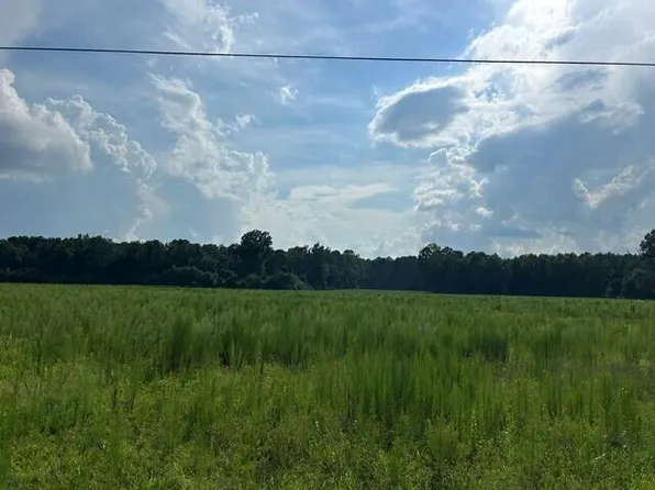 3 Seven Mile Rd, Harleyville, SC 29448