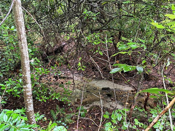 4th image of Off Donald McCall Rd