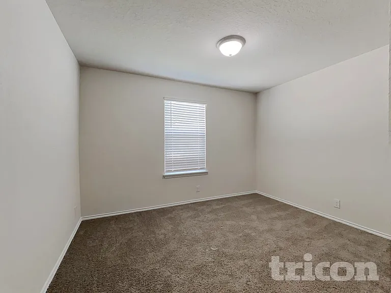 15406 Shortwing — Photo 25