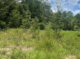 SE 42nd Ter LOT 62, Summerfield, FL 34491