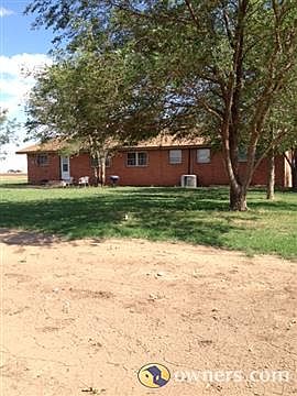 Back Yard/Garden view