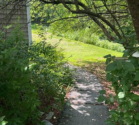 pathway to entrance