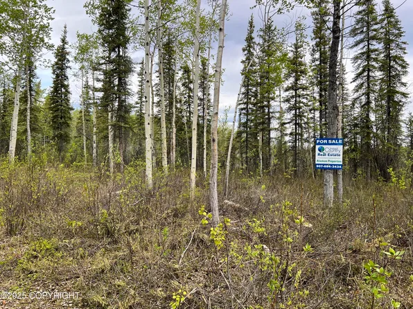 Asls #79-251, Glennallen, AK 99588