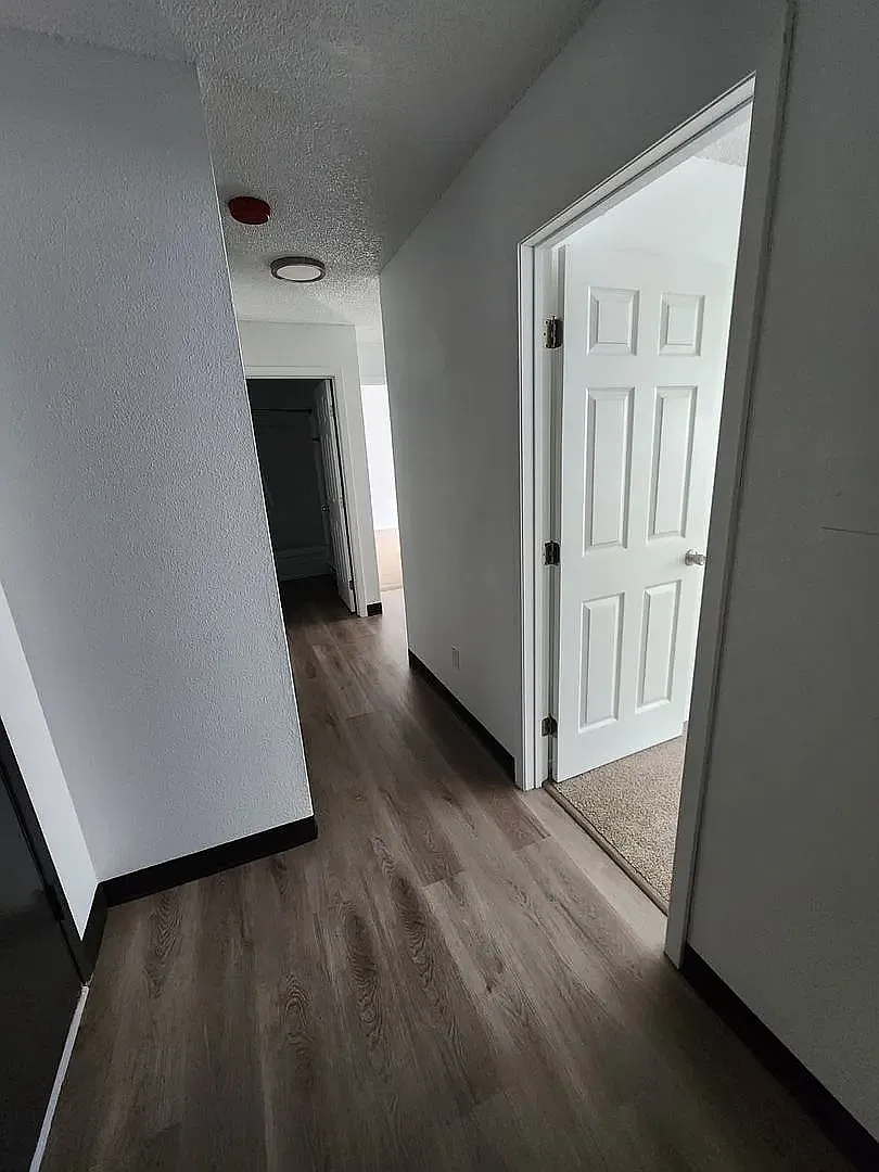Forest View Apartments — Photo 2