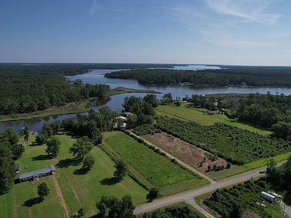 5th image of 413 Alligator Loop Rd