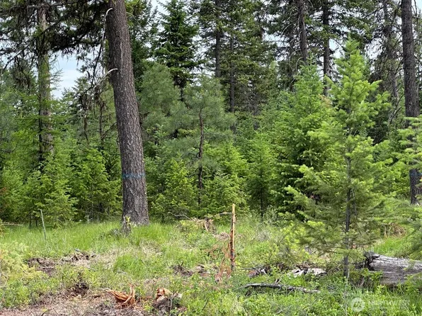3600 Lot B Sheridan, Republic, WA 99166