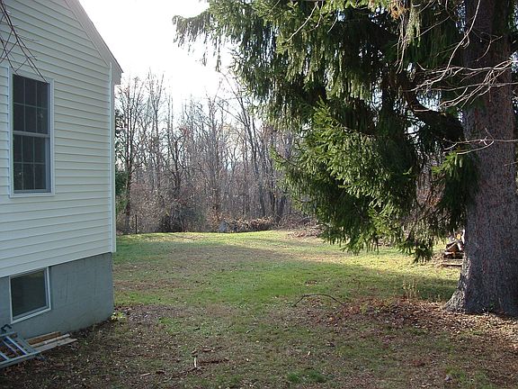 Large level back yard