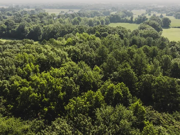 Parks Rd, Gleason, TN 38229