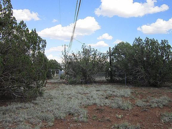 5th image of 8369 Silver Creek Dr