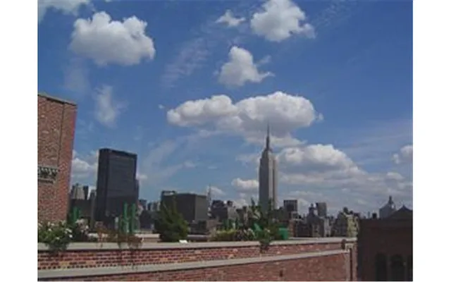 Sold by Douglas Elliman | media 19