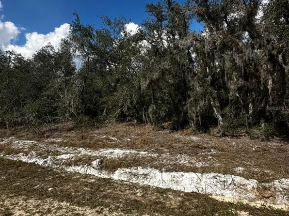 0 Allison Ave #40, Lake Wales, FL 33859