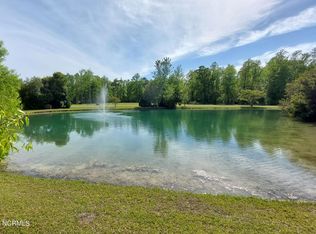 315 Baird Point Rd, Grantsboro, NC 28529