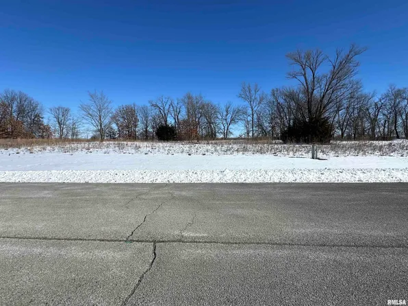 Eagle Dr, Meredosia, IL 62665