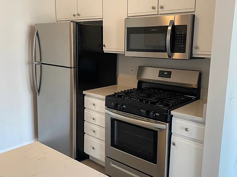 600 N Dearborn St #1305 — Photo 9