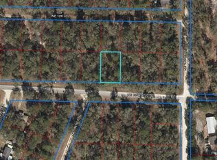 15931 NE 10th St, Williston, FL 32696