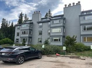 9366 Fall River Rd #9366, Idaho Springs, CO 80452