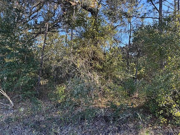 3rd image of 3144 W Marie Dr