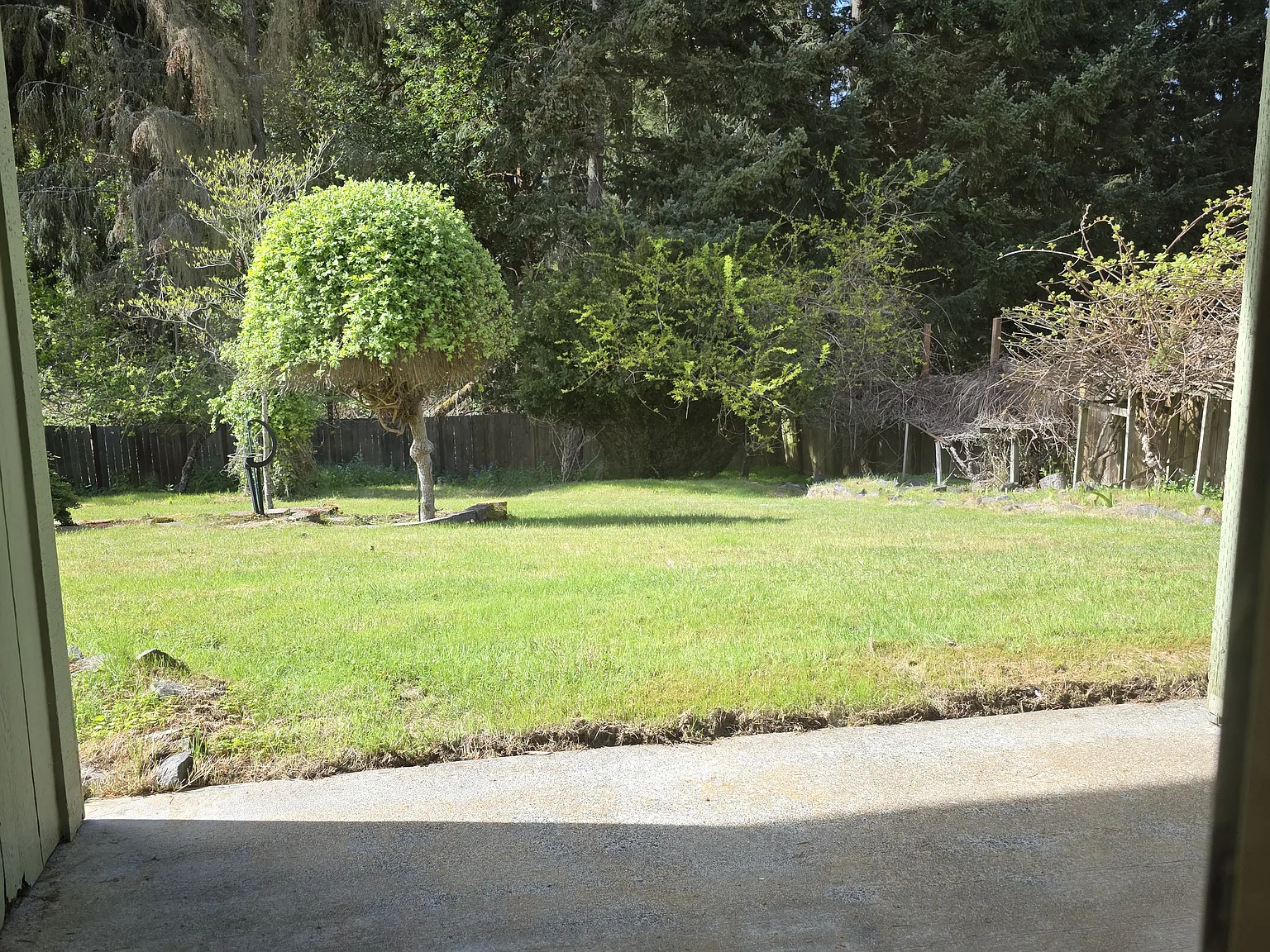 4 bed, 2.5 bath, 2949 sqft, $4,500 — Photo 3