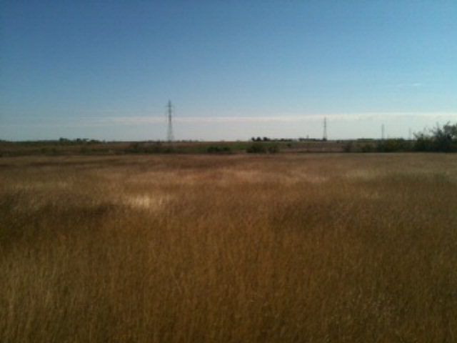 1st image of 3411 S Old Bastrop Hwy