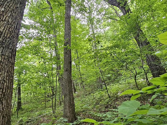 2nd image of 6/ACRE S County Road 250