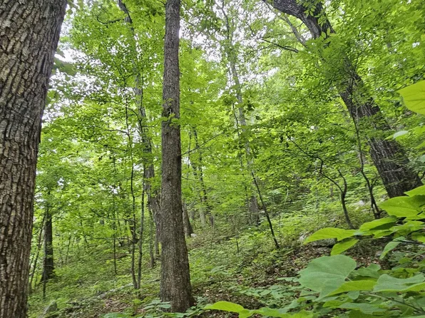 6/ACRE S County Road 250, Scottsboro, AL 35768