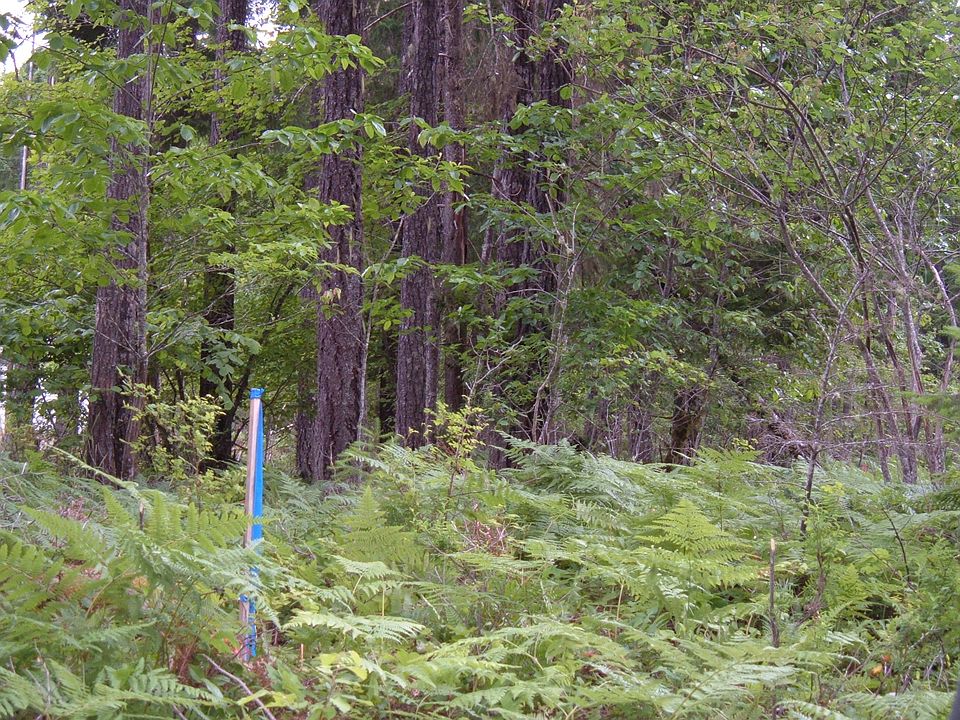 Power and water Lot 26 