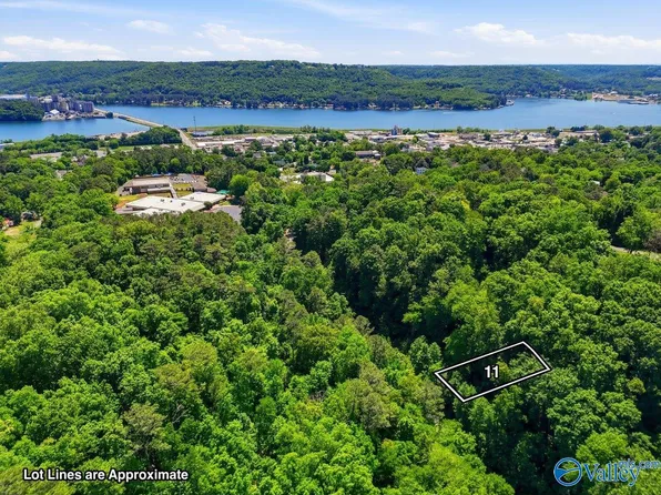 LOT 11 Lusk St, Guntersville, AL 35976