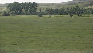 4th image of 14388 Highway 385
