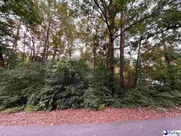 234 Pineneedle Cir, Johnsonville, SC 29555