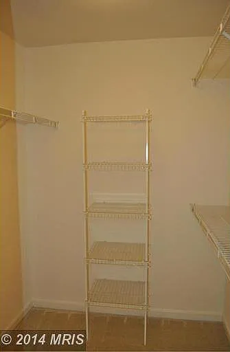 2469 Wheat Meadow Cir — Photo 10