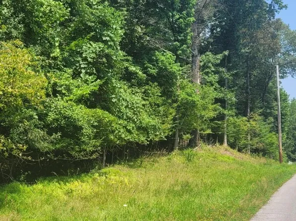 0 Watcher blvd, Durham, NY 12423