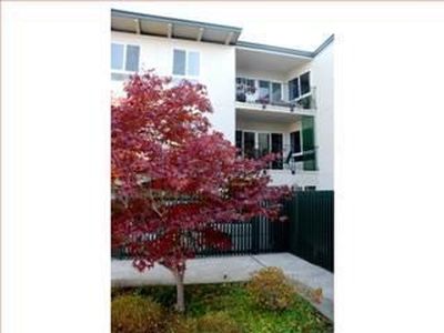 904 Peninsula Ave APT 312, San Mateo, CA, 94401