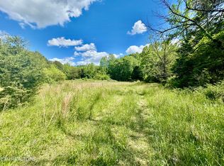 E Bullrun Valley Dr, Heiskell, TN 37754