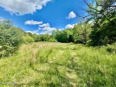 E Bullrun Valley Dr, Heiskell, TN, 37754