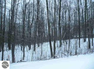 66 Ridge Run, Bellaire, MI 49615