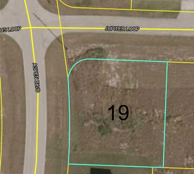 1st image of 1365 Jupiter Loop