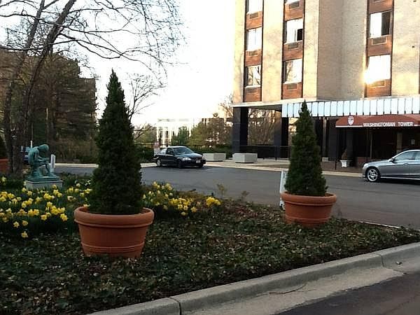 Entrance Drive