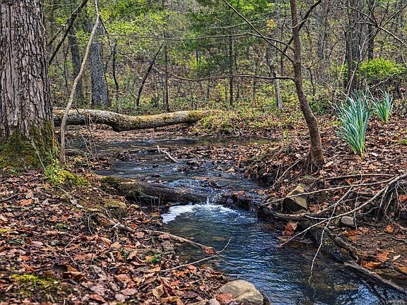 Creek Below Lake