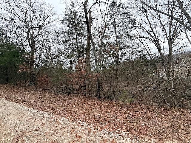 2nd image of 0 Linden Lane