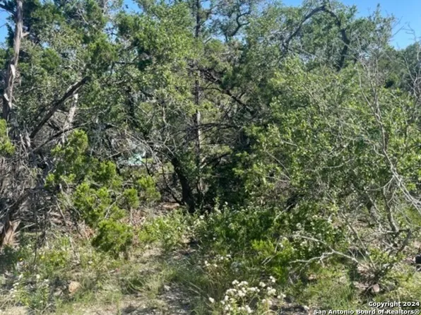 00 TBD LOT 3, Spring Branch, TX 78070